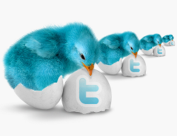 twitter logo bluebird and egg