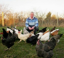 Mark with Chickens at the Farm