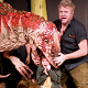 Dinosaur Zoo Live, UK Tour 2013 | Boywith Australovenator