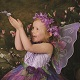 Little Fairy | Fairy and Elf Experience at Dawber Photography
