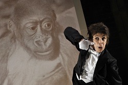 Kathryn Hunter in Kafka's Monkey