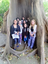 WGS's Sixth Form Gambia volunteers under the shade of a baobab tree