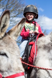 Child riding the donkey at the Geronimo Donkey Rides