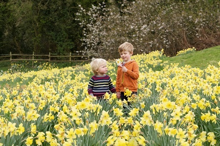 Helen Rae Photography | Children in daffodil field