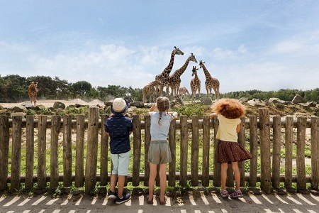 Beekse Bergen Safaripark