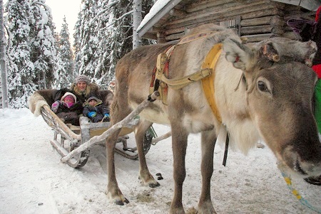 Reindeer sledding, Ruka, Finland