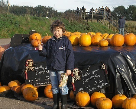 Halloween Pumpkins at the Red House Farm