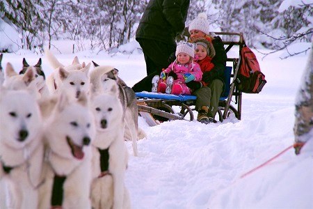 husky ride