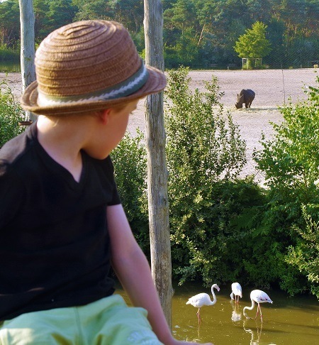 Safari park, Beekse Bergen