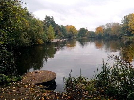 Syke's reservoir