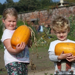 Children with pumpkins at Tatton Park