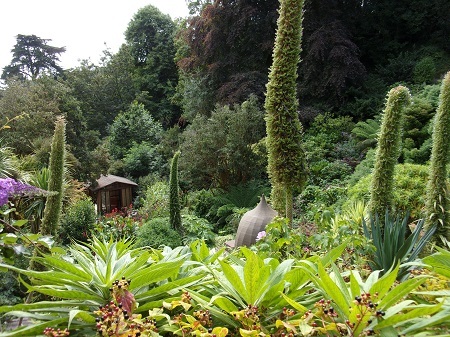 Tropical garden at Fermain Valley Hotel