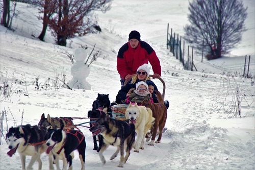 Husky ride at PARK SNOW Donovaly