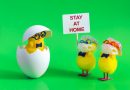 Easter chicks with "stay at home" sign