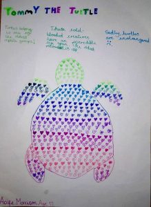 Tommy the turtle | Kids Gallery