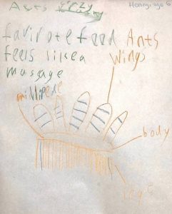 flying millipede | Kids Gallery