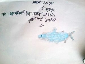 My pet Greenland shark