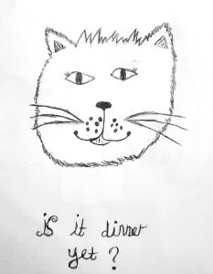 Meatball The Cat: Is it Dinner Yet?