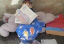 Piggy Bank, Money, and Toys