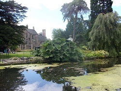 The Bishop's Palace gardens