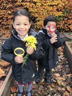Children at Outdoor learning