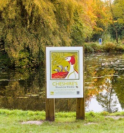 Wildlife Exhibition in Tatton Park