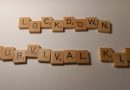 Lockdown Survival Puzzle