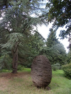 A sculpture in the landscape at Sir Harold Hillier Gardens