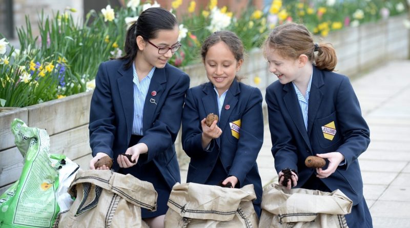 WGS Girls with the bags of planted potatoes during National Growing for Wellbeing Week