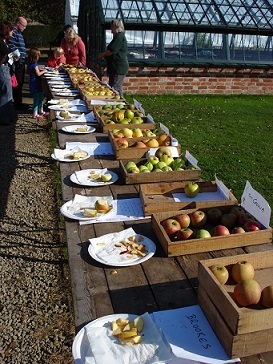 Apple Day at the Tatton Park's Orchard