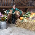 With animals in the Autumn at Tatton Park Farm