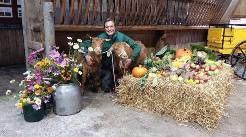With animals in the Autumn at Tatton Park Farm