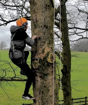 Anderton’s centre Adventure Club | tree climbing activity