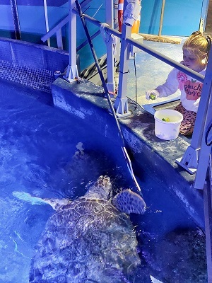 Girl in Sea Life Manchester