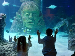 Kids in Sea Life Manchester