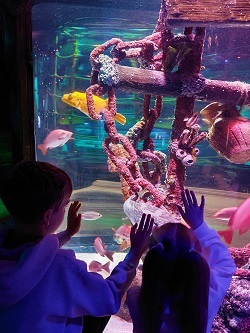 Kids in Sea Life Manchester_1