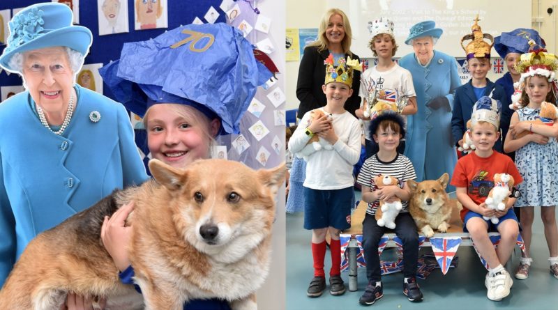 Visit from Rudey the corgi to King's