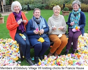 Members of Didsbury Village WI knitting chicks for Francis House