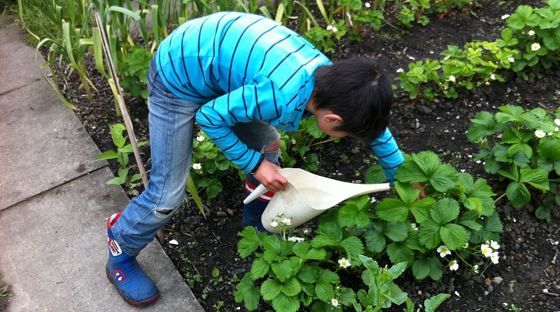 Lady gardening