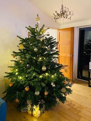 Mellor Country House. Decorated Christmas tree
