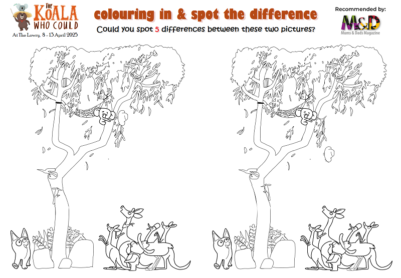 The Koala Who Could | Coloring in and spot the difference and colouring in activity sheet, 800 pixels wide