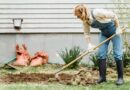 Gardening