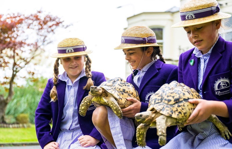 Pupils and School Tortoises Pets at Forest Preparatory School
