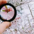 Magnifying Glass