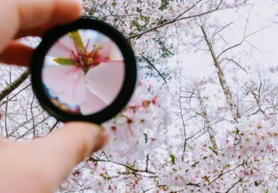 Magnifying Glass