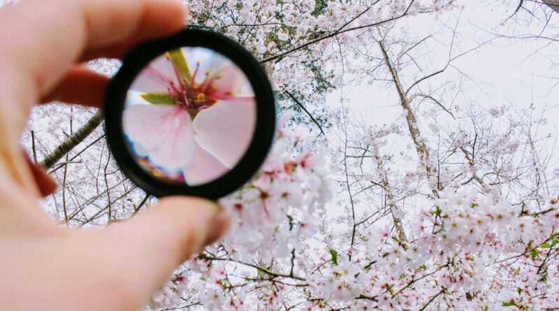 Magnifying Glass
