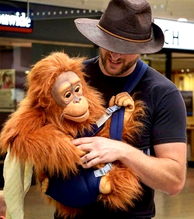 Baby orangutan | Safari Trail at Mill Gate Shopping Centre, Bury