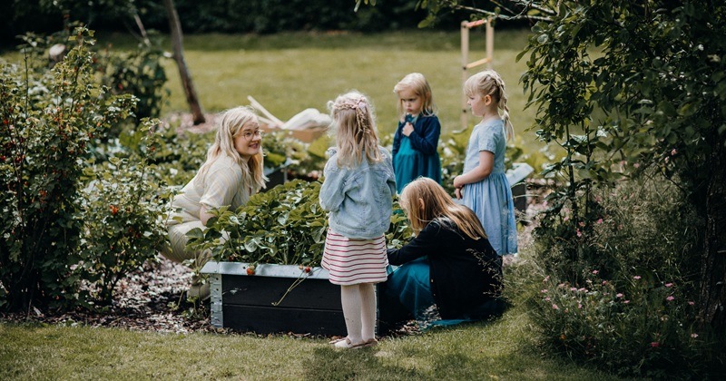 Summer in the garden