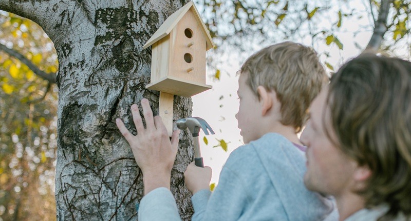 Building a Bird House
