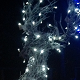 Christmas Lights at Center Parcs Christmas Winter Wonderland